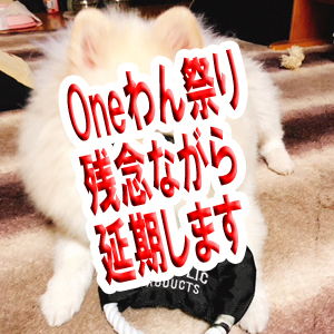 第1回Oneわん祭り
